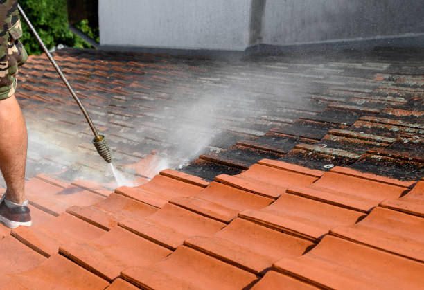 Best Residential Pressure Washing Services  in Mustang Ridge, TX