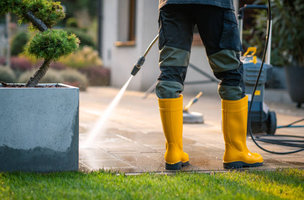 Best Pressure Washing Near Me  in Mustang Ridge, TX